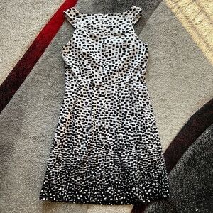 Calvin Klein Black White Sheath Dress
